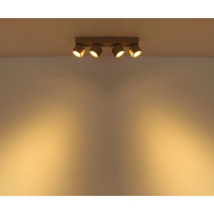 Globo - LED-spott 4xLED/6W/230V