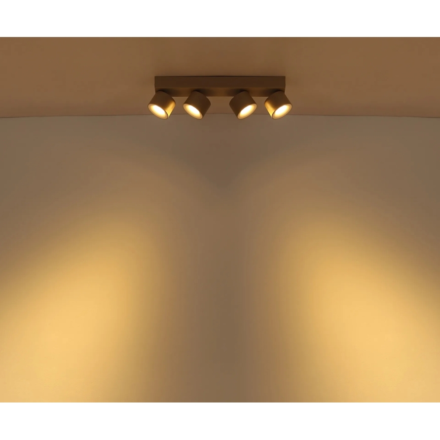 Globo - LED-spott 4xLED/6W/230V