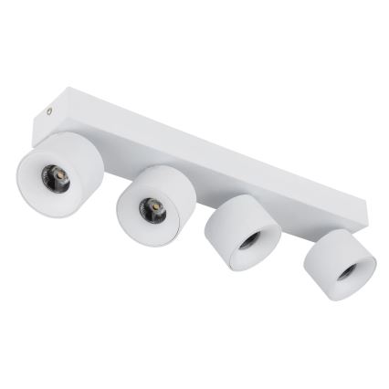 Globo - LED spotlight 4xLED/6W/230V vit
