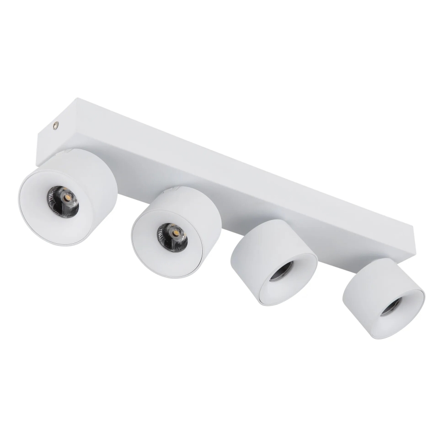 Globo - LED spotlight 4xLED/6W/230V vit
