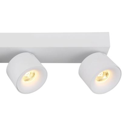 Globo - LED spotlight 4xLED/6W/230V vit