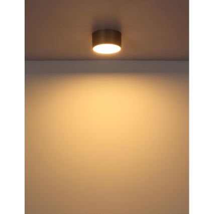 Globo - LED-takarmatur LED/12W/230V Ø 15 cm 3000K beige