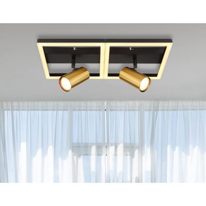 Globo - LED taklampa 2xGU10/5W/230V + LED/22W/230V