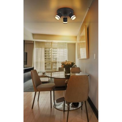 Globo - LED spotlight 3xGX53/7W/230V 3000K