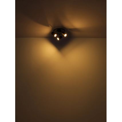 Globo - Spotlight 3xGU10/25W/230V svart