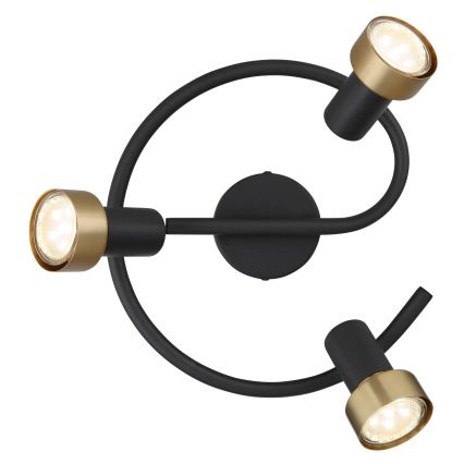 Globo - Spotlight  3xGU10/25W/230V svart/guld