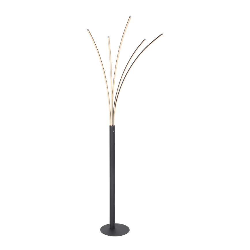 Globo - LED-dimbar beröringsstyrd golvlampa LED/36W/230V svart