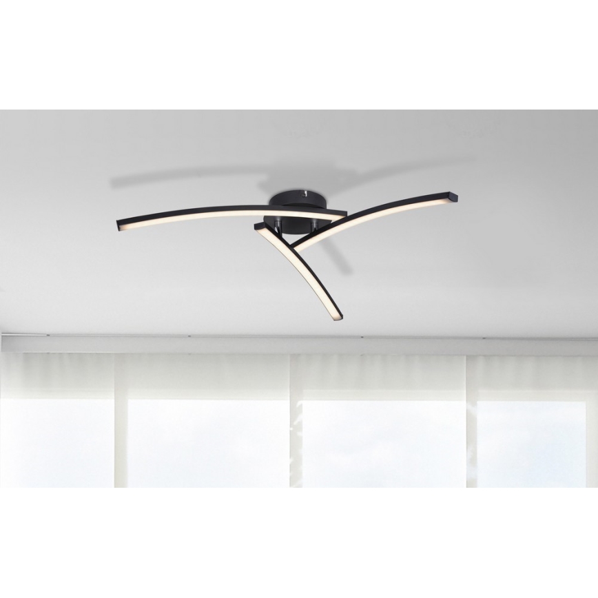 Globo - LED ytmonterad ljuskrona 3xLED/6W/230V 3000/4000/6000K