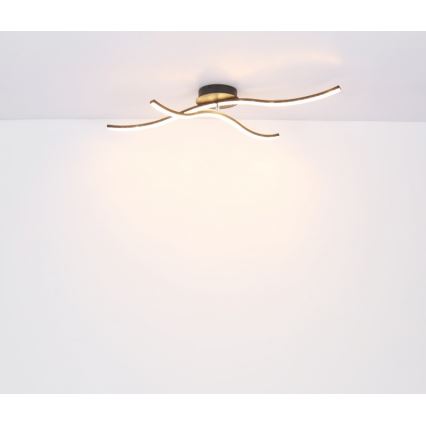 Globo - LED fastsatt Ljuskrona  LED/20W/230V