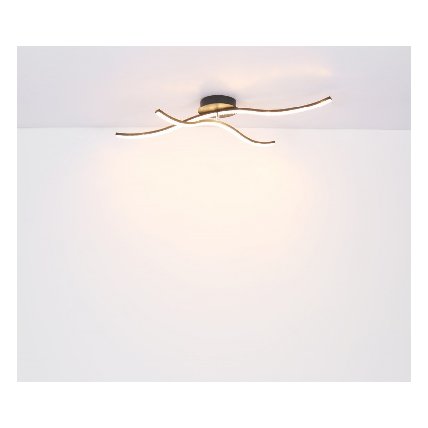 Globo - LED fastsatt Ljuskrona  LED/20W/230V