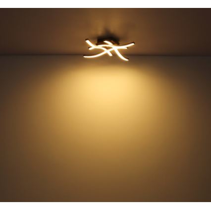 Globo - LED fastsatt Ljuskrona  4xLED/5W/230V