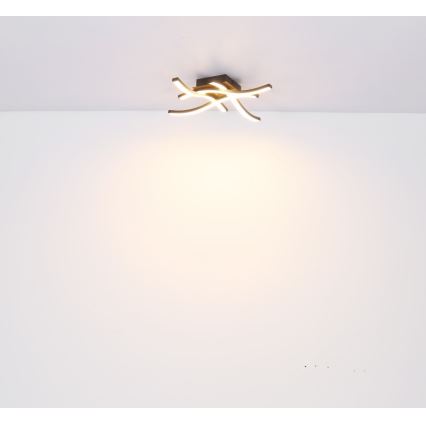 Globo - LED fastsatt Ljuskrona  4xLED/5W/230V