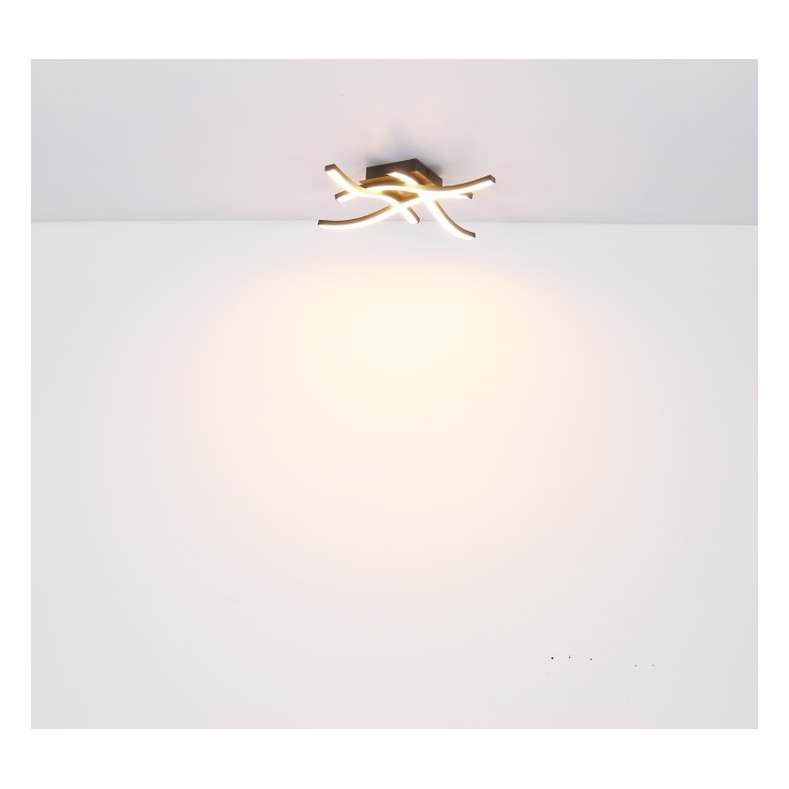 Globo - LED fastsatt Ljuskrona  4xLED/5W/230V