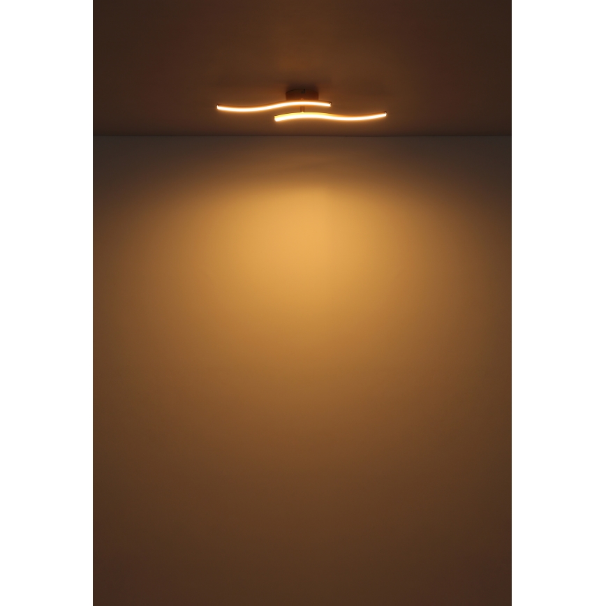 Globo - LED ytmonterad ljuskrona LED/12W/230V 3000K vit