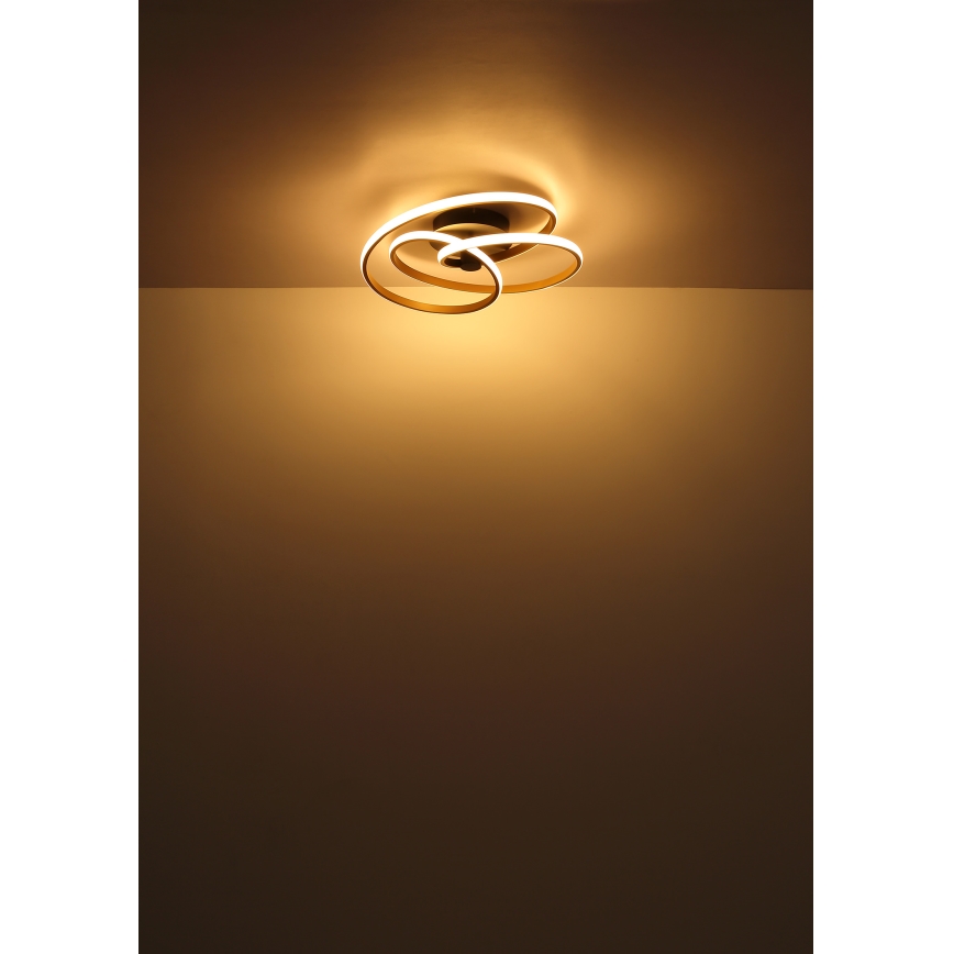 Globo - LED ytmonterad ljuskrona LED/40W/230V 3000K guld/svart