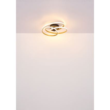 Globo - LED ytmonterad ljuskrona LED/40W/230V 3000K matt krom/svart