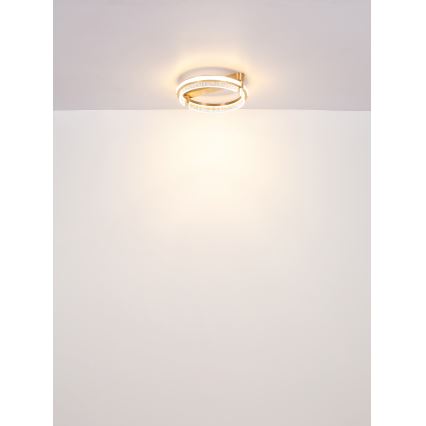 Globo - LED Ljusreglerad taklampa i kristall LED/36W/230V 2700K-6000K + fjärrkontroll