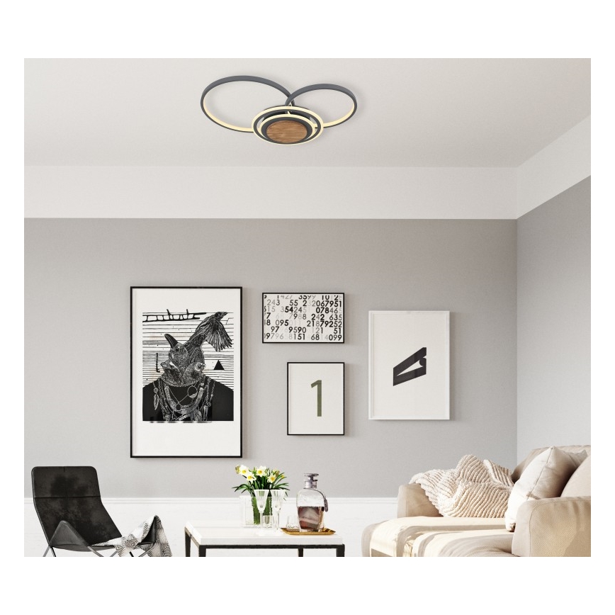 Globo - LED taklampa LED/40W/230V