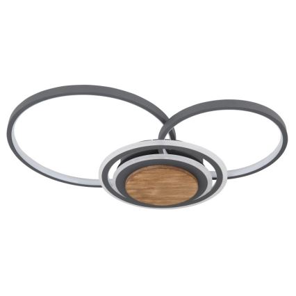 Globo - LED taklampa LED/40W/230V