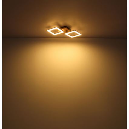 Globo - LED fäst ljuskrona LED/18W/230V