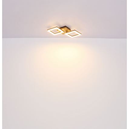 Globo - LED fäst ljuskrona LED/18W/230V