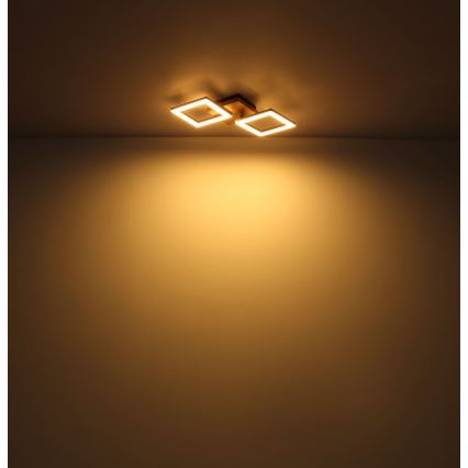 Globo - LED fäst ljuskrona LED/30W/230V