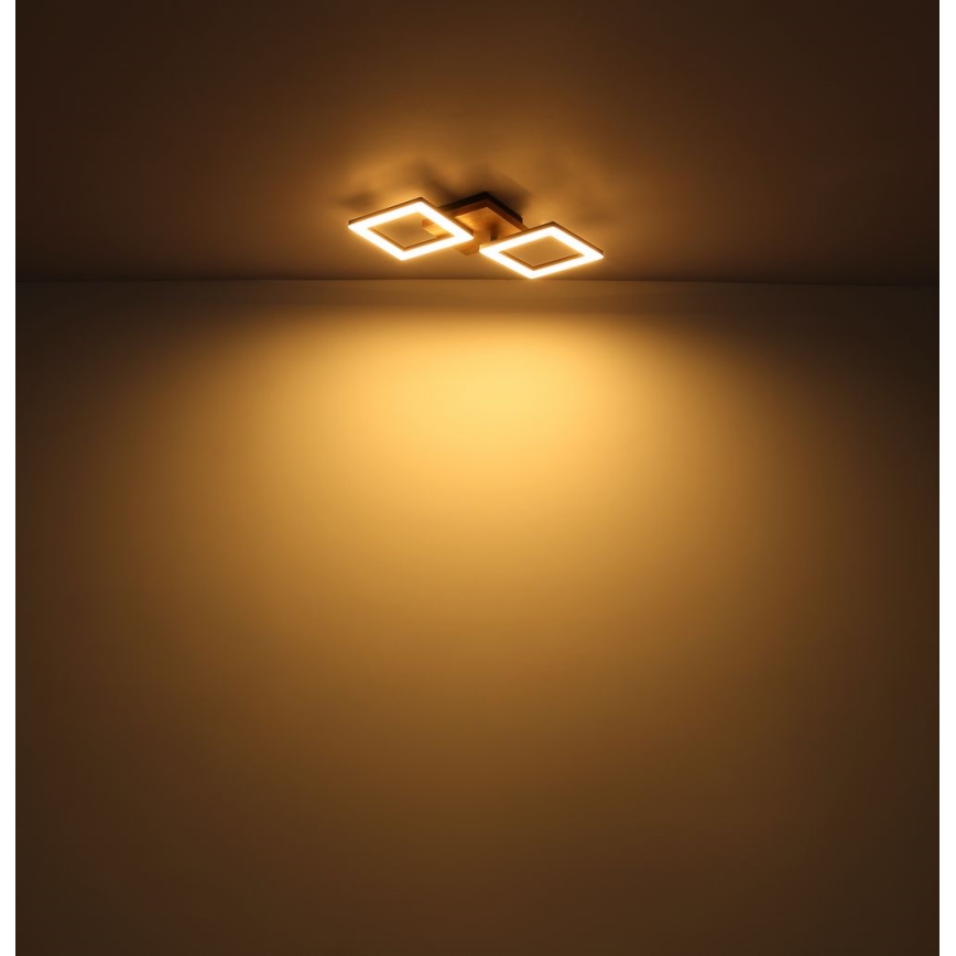 Globo - LED fäst ljuskrona LED/30W/230V
