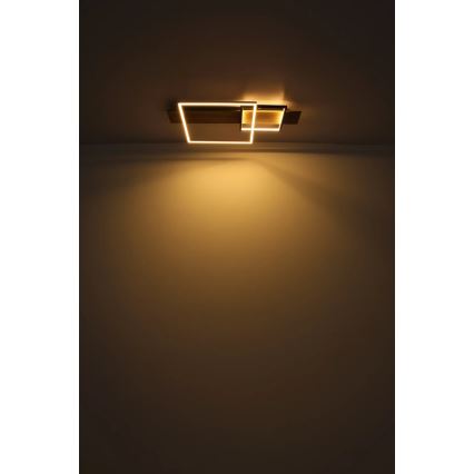 Globo 67289D1 - LED-taklampa VANNI LED/24W/230V 40x75 cm brun/svart