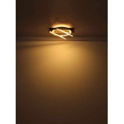 Globo - LED taklampa LED/32W/230V