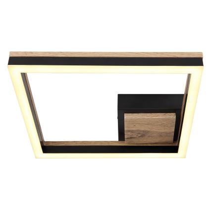 Globo - LED taklampa LED/12W/230V