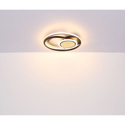 Globo - LED taklampa LED/24W/230V