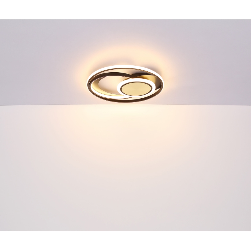 Globo - LED taklampa LED/24W/230V