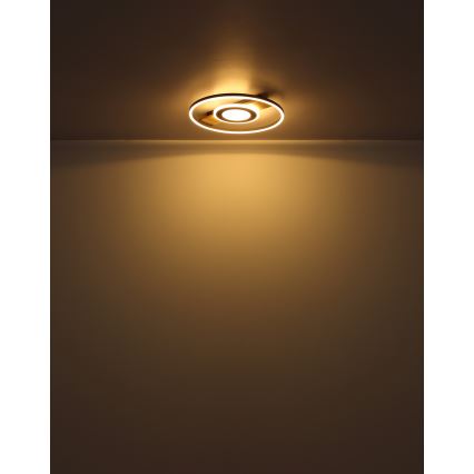 Globo - LED taklampa LED/24W/230V