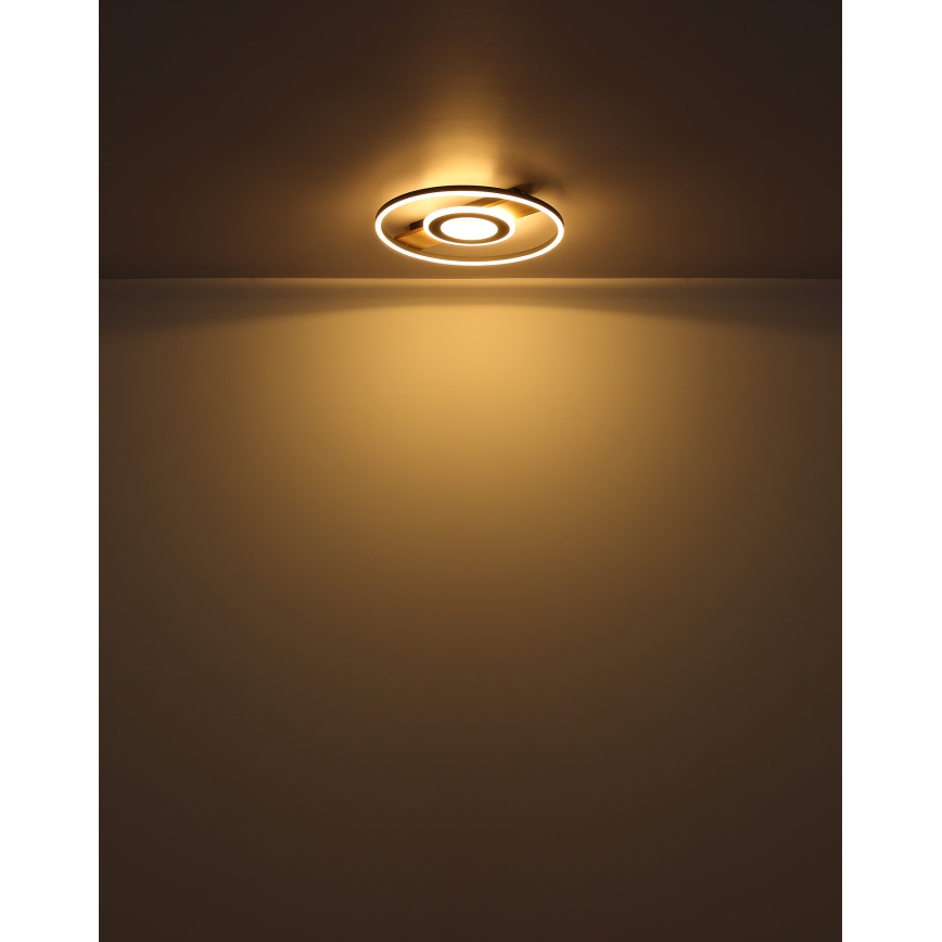 Globo - LED taklampa LED/24W/230V