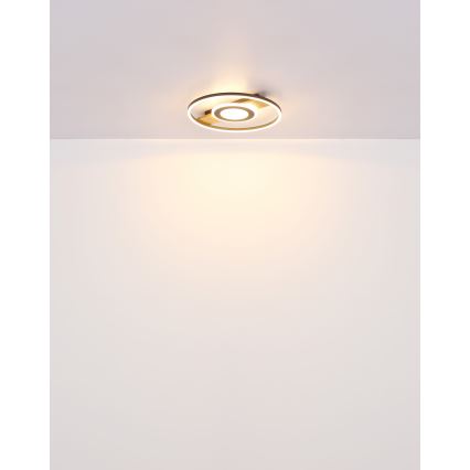 Globo - LED taklampa LED/24W/230V