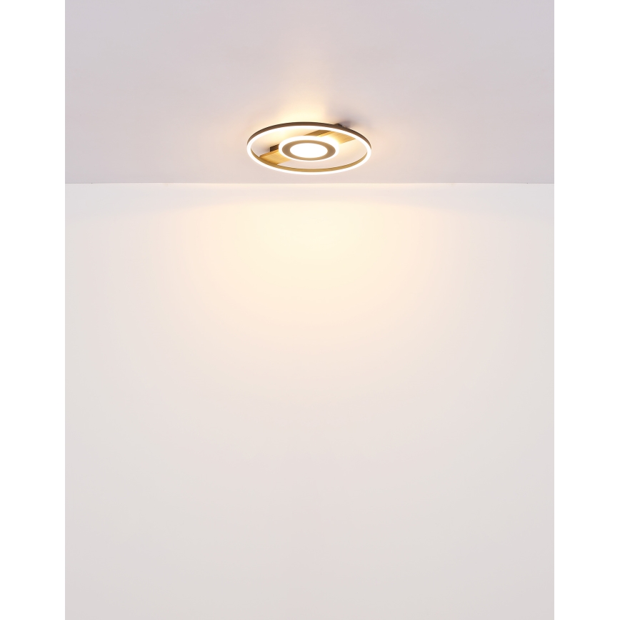 Globo - LED taklampa LED/24W/230V