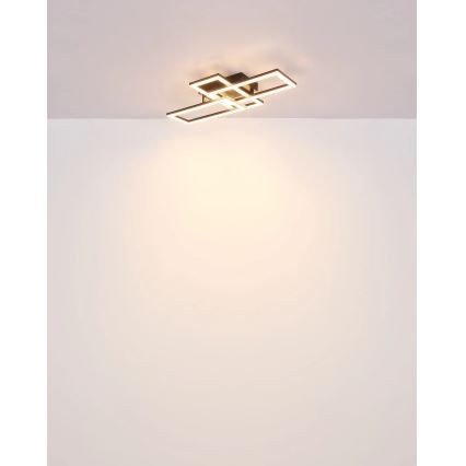 Globo - LED taklampa LED/24W/230V