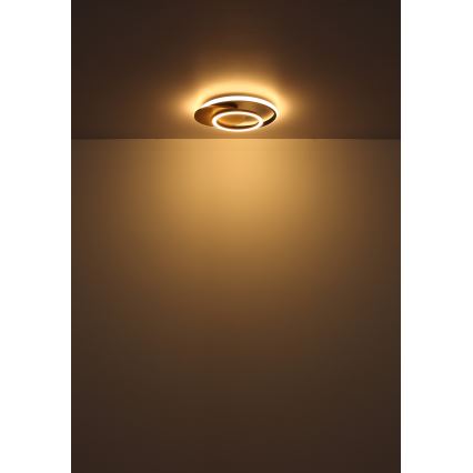Globo - LED taklampa LED/24W/230V svart