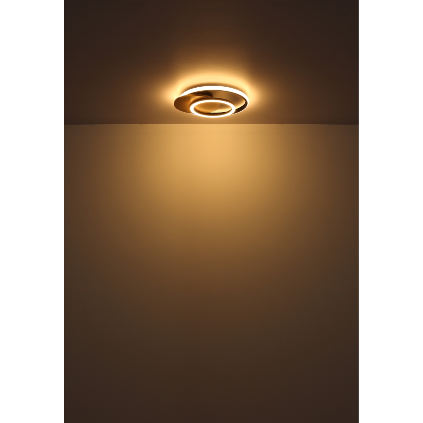 Globo - LED taklampa LED/24W/230V svart