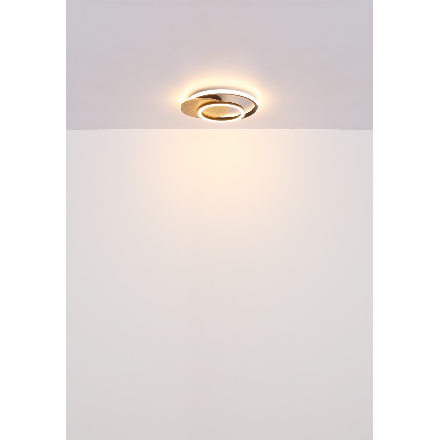 Globo - LED taklampa LED/24W/230V svart