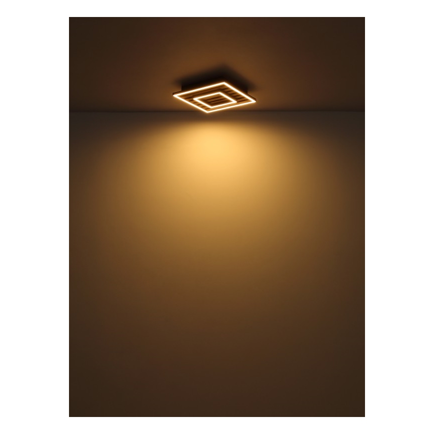 Globo - LED Taklampa LED/18W/230V 3000K 30x30 cm