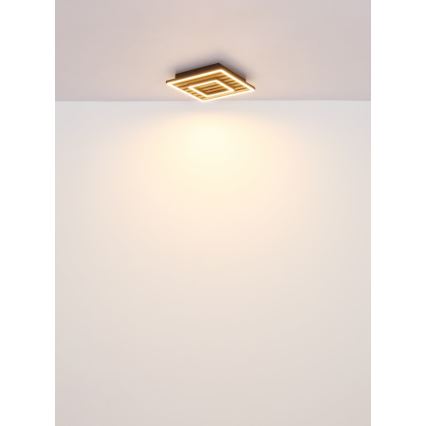 Globo - LED Taklampa LED/18W/230V 3000K 30x30 cm