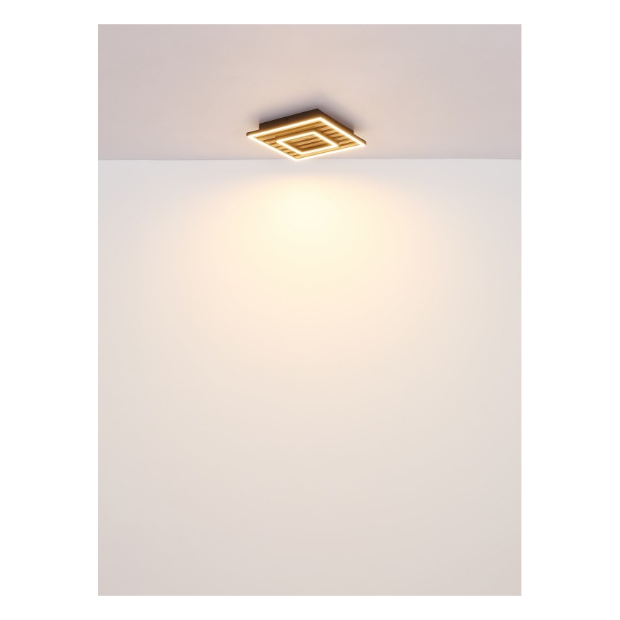Globo - LED Taklampa LED/18W/230V 3000K 30x30 cm