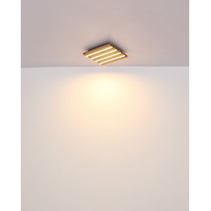 Globo - LED takarmatur LED/15W/230V 3000K 30x30 cm