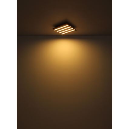 Globo - LED taklampa LED/30W/230V 3000K 45x45 cm