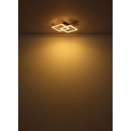 Globo - LED taklampa LED/16W/230V 3000K 33x44 cm