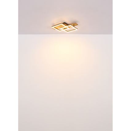 Globo - LED taklampa LED/16W/230V 3000K 33x44 cm