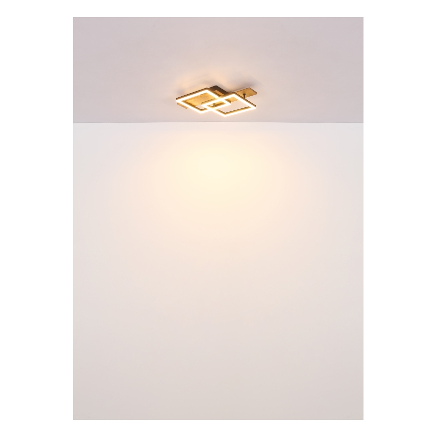 Globo - LED taklampa LED/16W/230V 3000K 33x44 cm