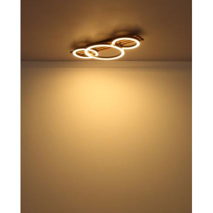 Globo - LED taklampa LED/24W/230V 3000K 30x62 cm