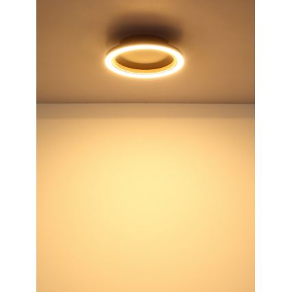 Globo - LED taklampa LED/12W/230V 3000K diam. 20,5 cm